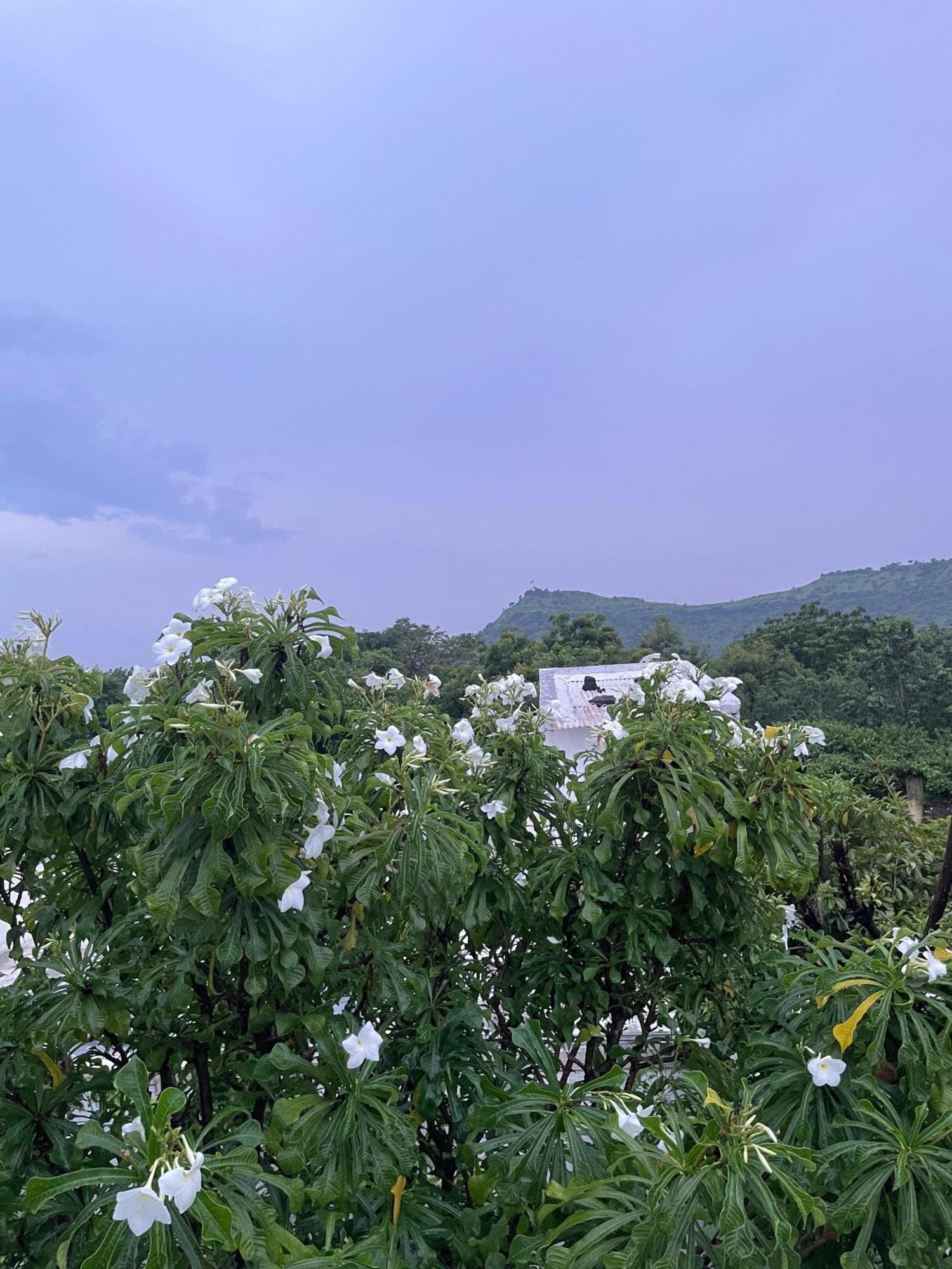 Private & Elegant 3Bhk Villa, Hillside Hideaway, 10 Mins From Mh Bus Stand ออรังกาบัด ภายนอก รูปภาพ